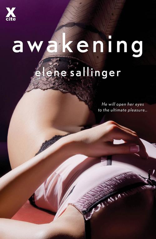 Cover of the book Awakening by Elene Sallinger, Sourcebooks