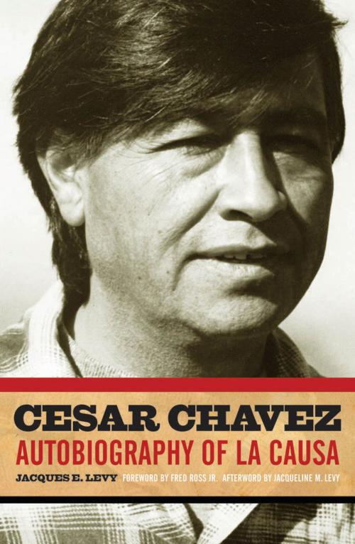 Cover of the book Cesar Chavez by Jacques E. Levy, University of Minnesota Press