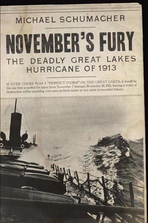 Cover of the book November's Fury by Michael Schumacher, University of Minnesota Press