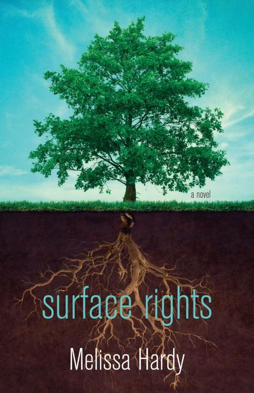 Cover of the book Surface Rights by Melissa Hardy, Dundurn
