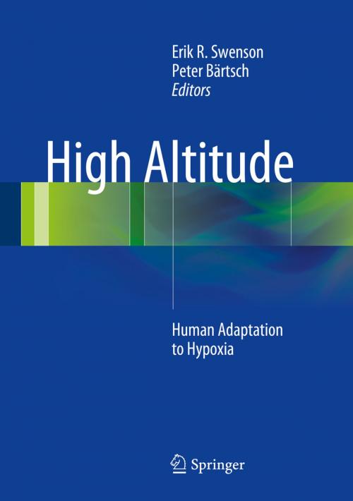 Cover of the book High Altitude by , Springer New York