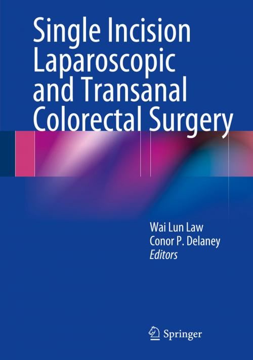 Cover of the book Single Incision Laparoscopic and Transanal Colorectal Surgery by , Springer New York