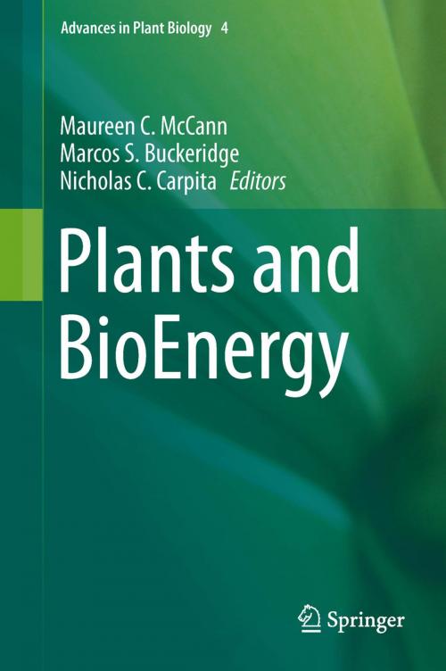 Cover of the book Plants and BioEnergy by , Springer New York