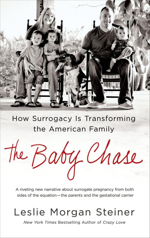 Cover of the book The Baby Chase by Leslie Morgan Steiner, St. Martin's Press