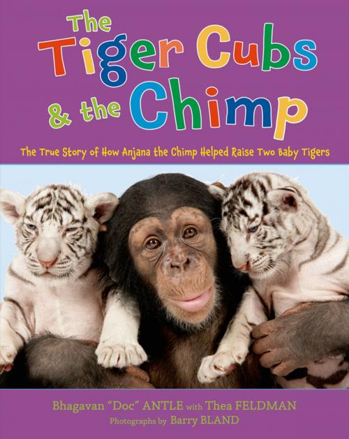 Cover of the book The Tiger Cubs and the Chimp by Dr. Bhagavan Antle, Thea Feldman, Henry Holt and Co. (BYR)