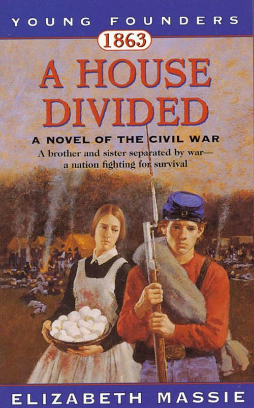 Cover of the book 1863: A House Divided by Elizabeth Massie, Tom Doherty Associates