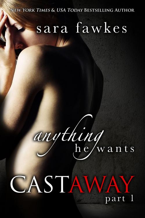 Cover of the book Anything He Wants: Castaway (#1) by Sara Fawkes, St. Martin's Press