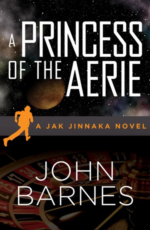Cover of the book A Princess of the Aerie by John Barnes, Open Road Media