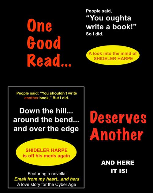 Cover of the book Down the Hill...Around the Bend...and Over the Edge by Shideler Harpe, BookBaby
