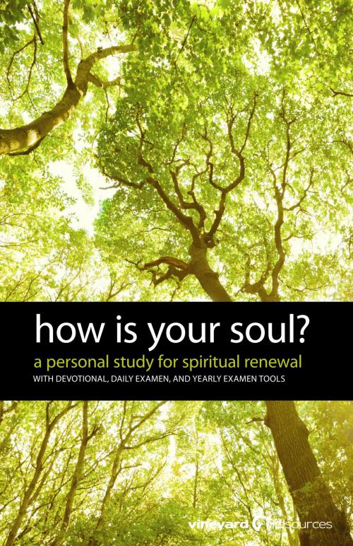 Cover of the book How Is Your Soul? by Vineyard Resources, BookBaby