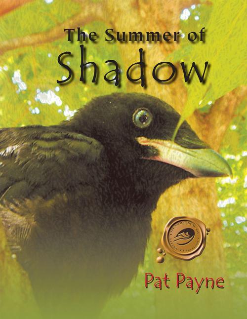 Cover of the book The Summer of Shadow by Pat Payne, Trafford Publishing