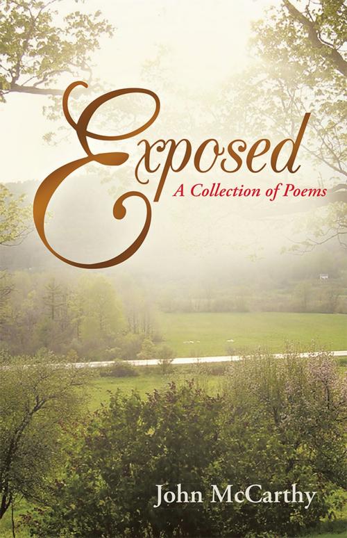 Cover of the book Exposed by John McCarthy, iUniverse