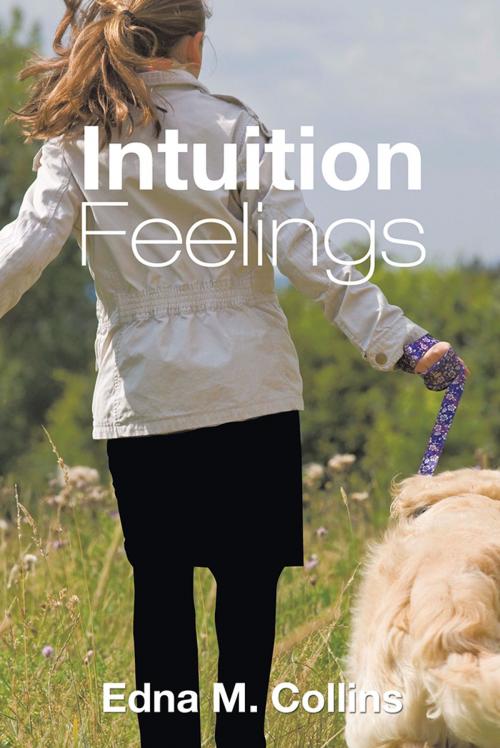 Cover of the book Intuition Feelings by Edna M. Collins, iUniverse