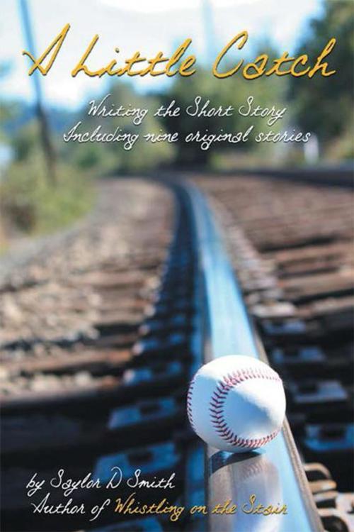 Cover of the book A Little Catch by Saylor D Smith, iUniverse