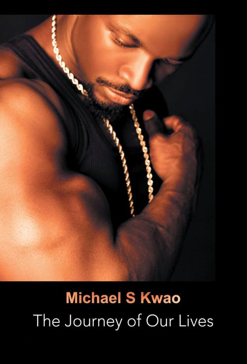 Cover of the book The Journey of Our Lives by Michael S. Kwao, AuthorHouse