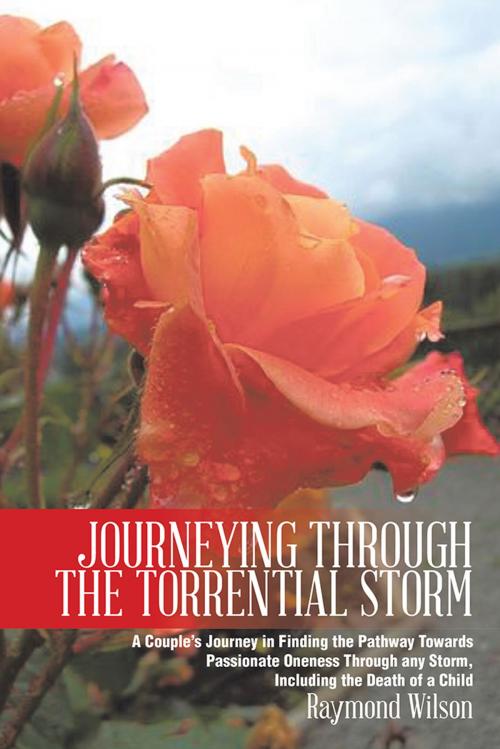 Cover of the book Journeying Through the Torrential Storm by Raymond Wilson, AuthorHouse
