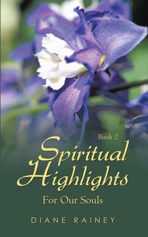 Cover of the book Spiritual Highlights for Our Souls by DIANE RAINEY, AuthorHouse