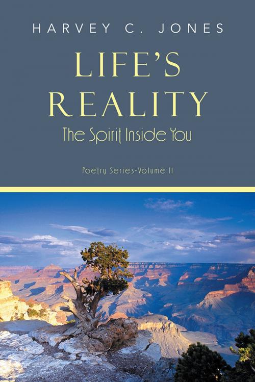 Cover of the book Life's Reality by Harvey C. Jones, AuthorHouse