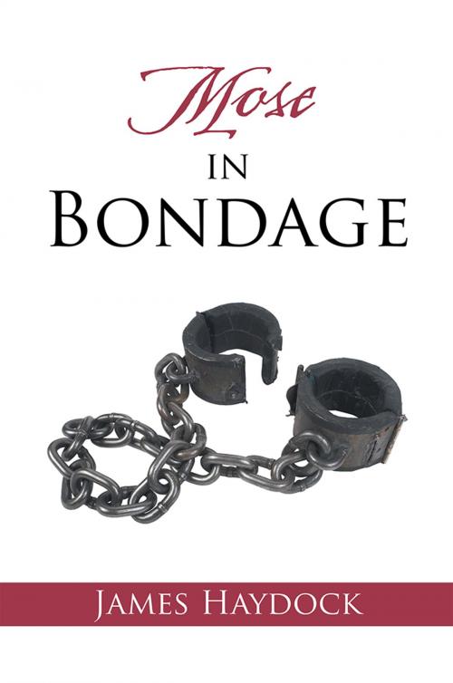 Cover of the book Mose in Bondage by James Haydock, AuthorHouse