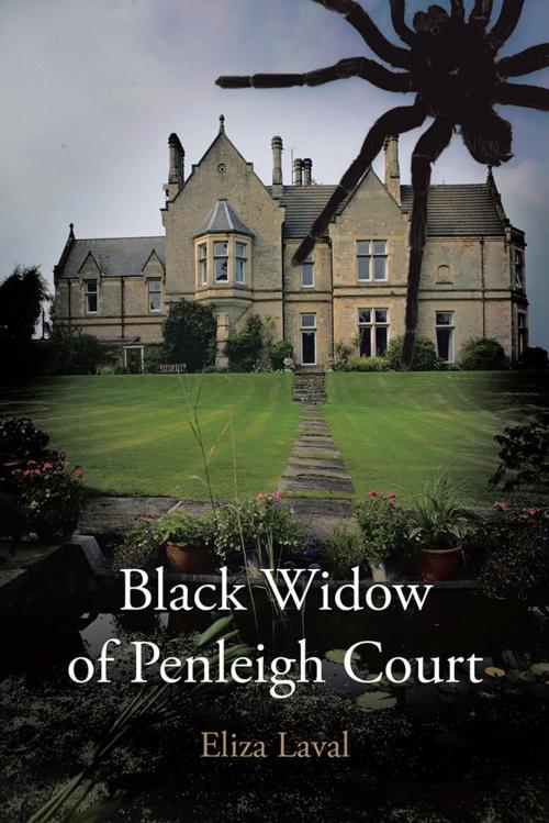 Cover of the book Black Widow of Penleigh Court by Eliza Laval, AuthorHouse UK