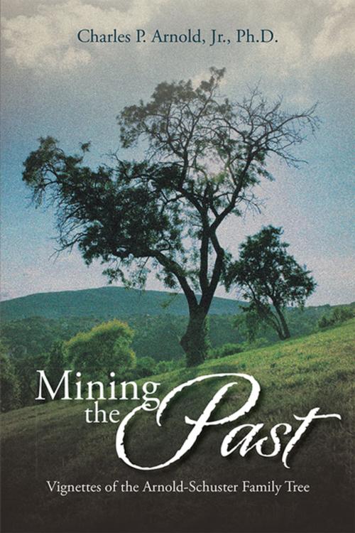 Cover of the book Mining the Past by Charles P. Arnold Jr., Xlibris US