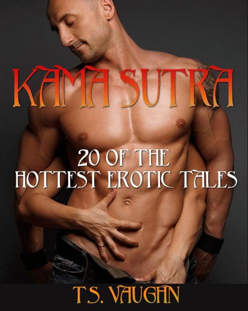 Cover of the book Kama Sutra (20 of the Hottest Erotic Tales) by T.S. VAUGHN, Gomorrah Books