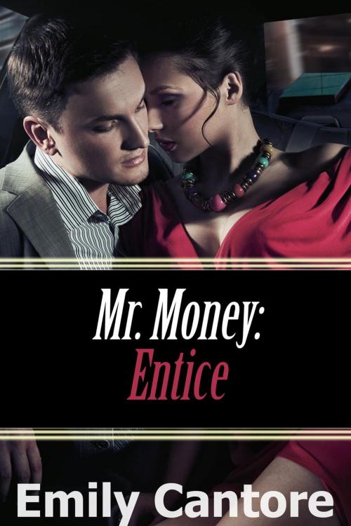 Cover of the book Entice: Mr. Money by Emily Cantore, Emily Cantore