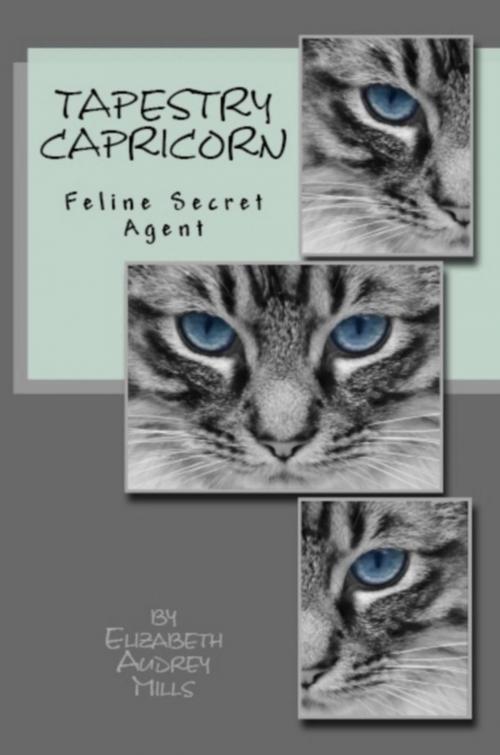 Cover of the book Tapestry Capricorn, Feline Secret Agent by Elizabeth Audrey Mills, Elizabeth Audrey Mills