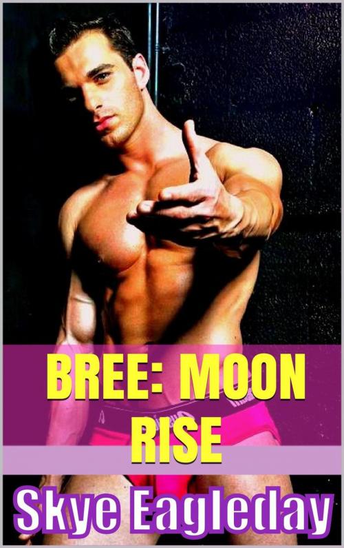 Cover of the book Bree: Moon Rise by Skye Eagleday, Skye Eagleday