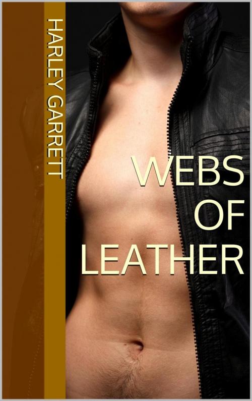 Cover of the book Webs of Leather by Harley Garrett, Langley's Lovelies