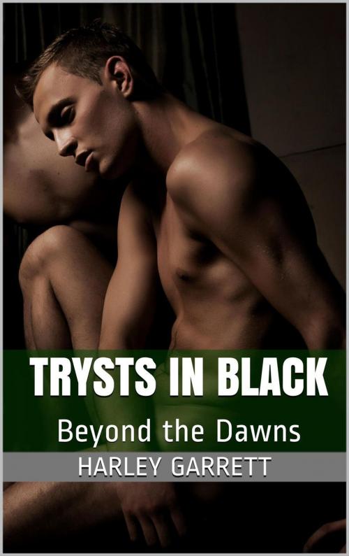 Cover of the book Trysts in Black by Harley Garrett, Langley's Lovelies