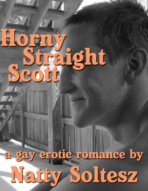 Cover of the book Horny Straight Scott by Natty Soltesz, Natty Soltesz