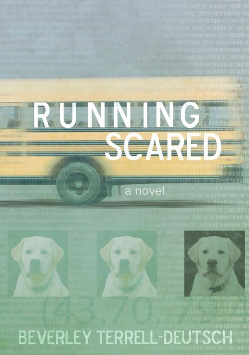 Cover of the book Running Scared by Beverley Terrell-Deutsch, Red Deer Press