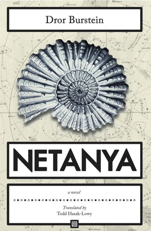 Cover of the book Netanya by Dror Burstein, Dalkey Archive Press