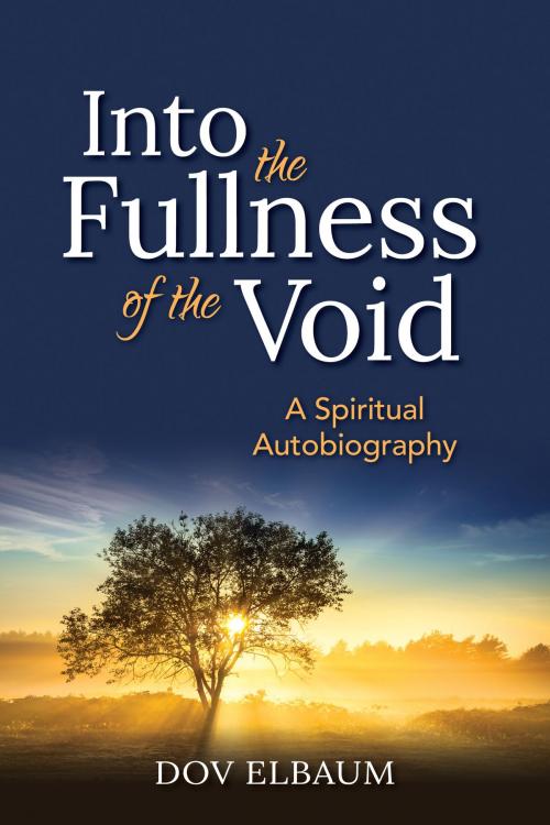 Cover of the book Into the Fullness of the Void by DOV ELBAUM, Jewish Lights Publishing