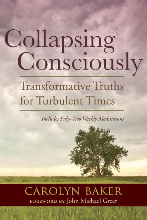 Cover of the book Collapsing Consciously by Carolyn Baker, Ph.D., North Atlantic Books