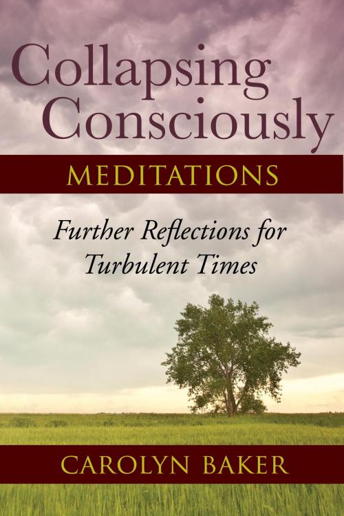 Cover of the book Collapsing Consciously Meditations by Carolyn Baker, Ph.D., North Atlantic Books