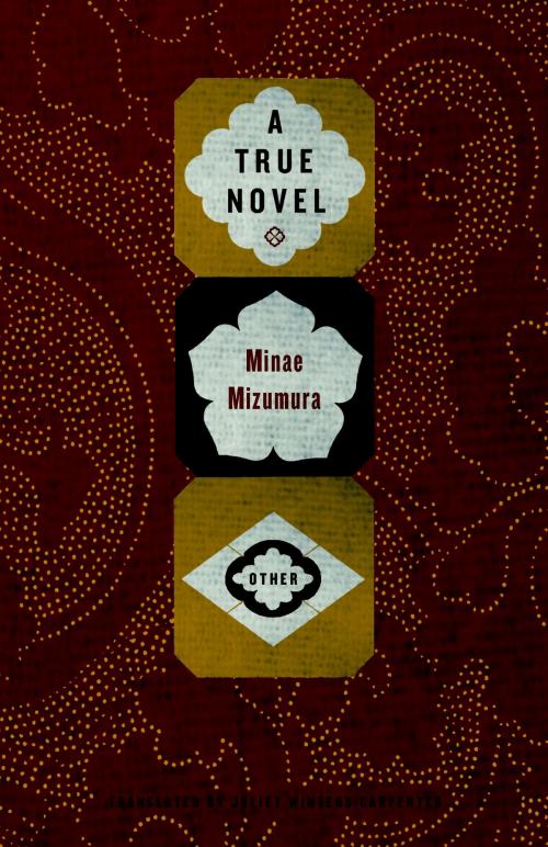 Cover of the book A True Novel by Minae Mizumura, Other Press