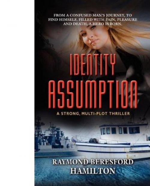Cover of the book IDENTITY ASSUMPTION by Raymond Beresford Hamilton, Raymond Beresford Hamilton
