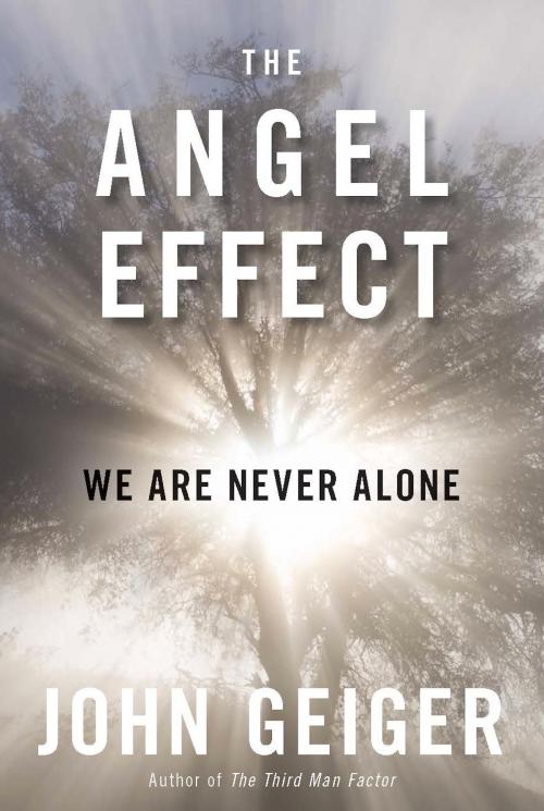 Cover of the book The Angel Effect by John Geiger, Hachette Books