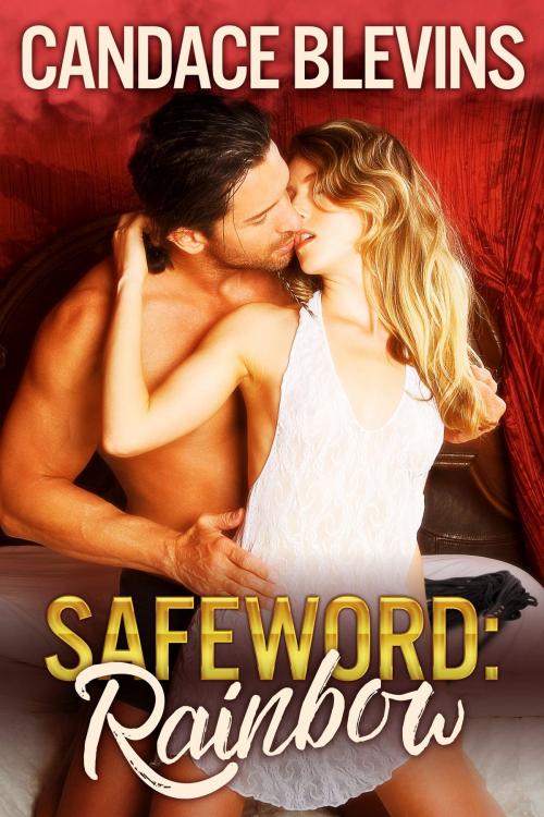 Cover of the book Safeword: Rainbow (2013 extended edition) by Candace Blevins, Excessica