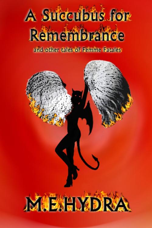 Cover of the book A Succubus for Remembrance by M.E. Hydra, Excessica