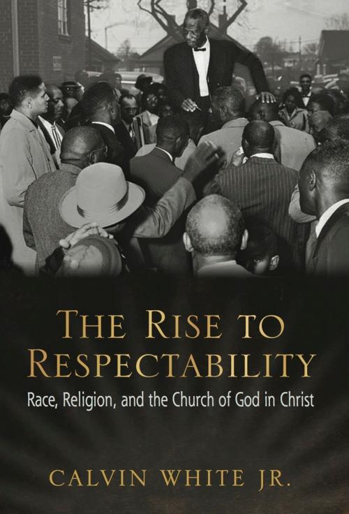 Cover of the book The Rise to Respectability by Calvin White, University of Arkansas Press