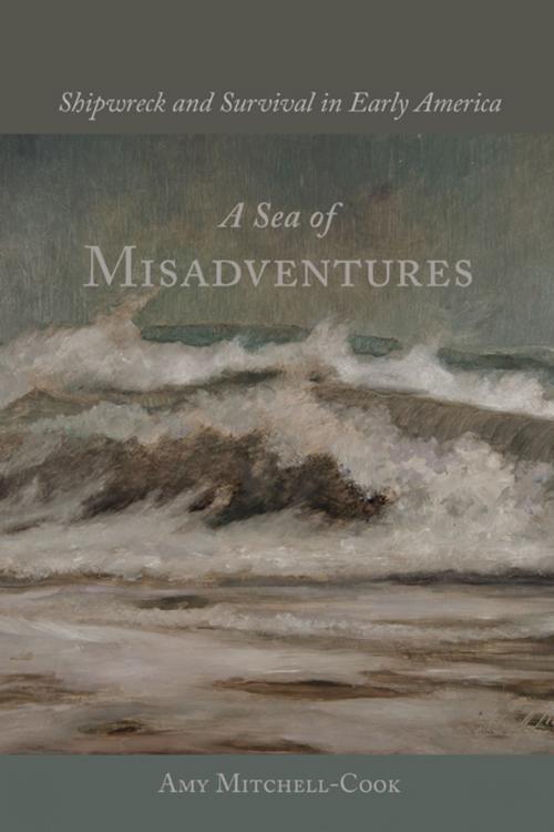 Cover of the book A Sea of Misadventures by Amy Mitchell-Cook, William N. Still Jr., University of South Carolina Press