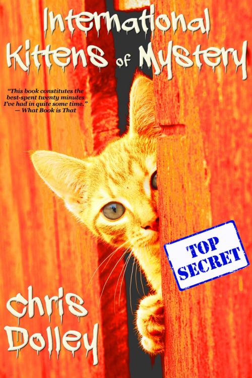 Cover of the book International Kittens of Mystery by Chris Dolley, Book View Cafe