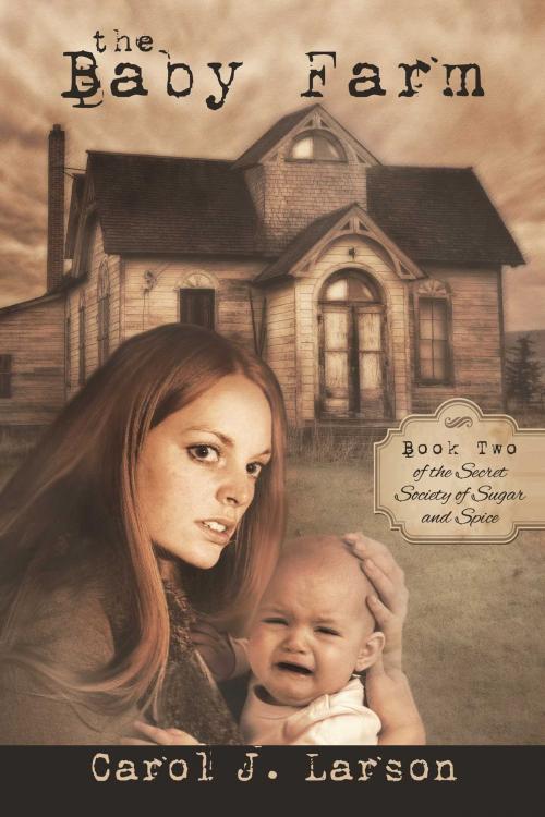 Cover of the book The Baby Farm by Carol J Larson, Whiskey Creek Press