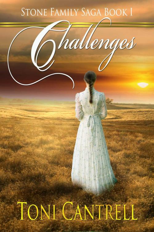 Cover of the book Challenges by Toni Cantrell, Whiskey Creek Press
