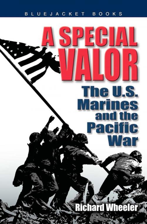 Cover of the book A Special Valor by Richard Wheeler, Naval Institute Press