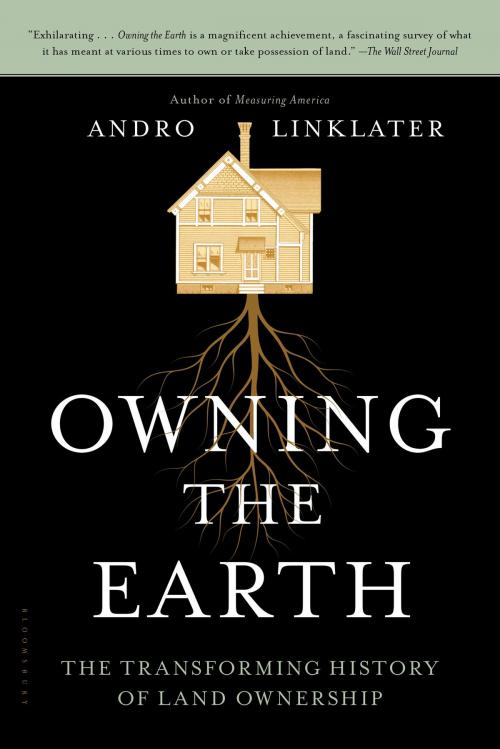 Cover of the book Owning the Earth by Andro Linklater, Bloomsbury Publishing