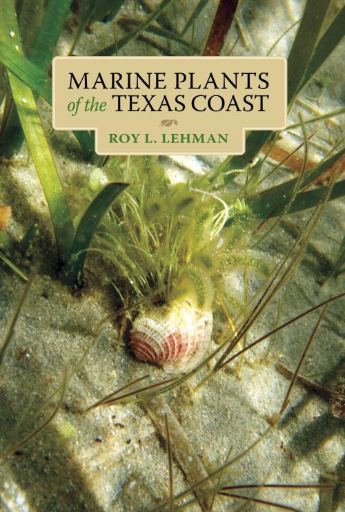 Cover of the book Marine Plants of the Texas Coast by Roy L. Lehman, Texas A&M University Press